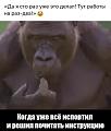 Нажмите на изображение для увеличения
Название: 93dd3976f1157932a7b1c50a0069d851.jpeg
Просмотров: 3516
Размер:	37.4 Кб
ID:	10402